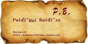 Palágyi Balázs névjegykártya